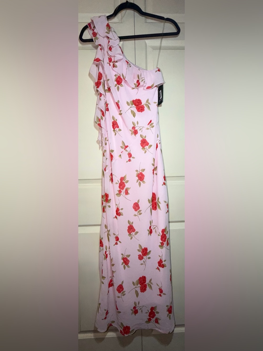 wild fable Pink Dress with Red Rose Print